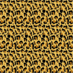 LEOPARDO1